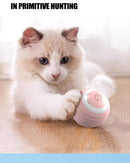 Bola Inteligente Interativa — Diversão automática para o seu gato
